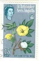 WSA-St._Kitts_and_Nevis-Postage-1963.jpg-crop-135x209at318-782.jpg