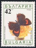 Skap-bulgaria_15_bfly-moths_3551-6.jpg-crop-155x206at173-219.jpg