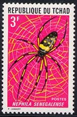 Skap-chad_05_insects-spiders_252-56_.jpg-crop-153x233at18-250.jpg