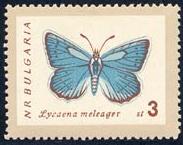 Skap-bulgaria_05_bfly-moths_1238-45.jpg-crop-183x145at371-5.jpg
