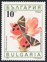 Skap-bulgaria_15_bfly-moths_3551-6.jpg-crop-155x203at175-8.jpg