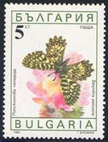 Skap-bulgaria_15_bfly-moths_3551-6.jpg-crop-156x205at5-6.jpg