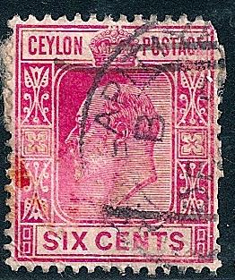 STS-Ceylon-2-300dpi.jpg-crop-262x313at1568-2131.jpg