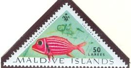 WSA-Maldives-Postage-1963.jpg-crop-269x141at82-528.jpg