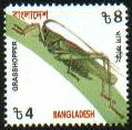 Skap-bangladesh_xx_insects_new.jpg-crop-119x118at5-3.jpg