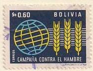 ARC-bolivia26.jpg-crop-188x143at322-923.jpg