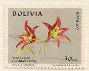 ARC-bolivia32.jpg-crop-184x146at32-420.jpg