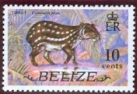 WSA-Belize-Postage-1974.jpg-crop-196x134at214-532.jpg