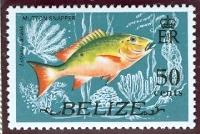 WSA-Belize-Postage-1974.jpg-crop-200x134at323-705.jpg