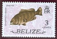 WSA-Belize-Postage-1974.jpg-crop-200x137at214-364.jpg