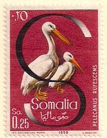 ARC-somalia04.jpg-crop-211x271at733-1271.jpg