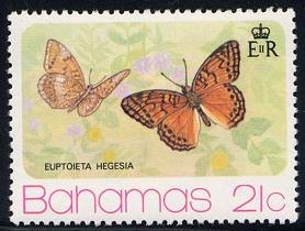 Skap-bahamas_01_butterflies_370-73.jpg-crop-278x210at311-247.jpg
