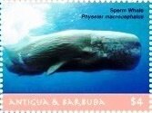Colnect-6436-360-Sperm-whale.jpg