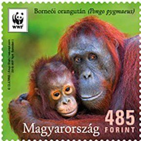 Colnect-5062-212-Orangutan.jpg