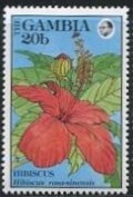 Colnect-2333-138-Hibiscus.jpg