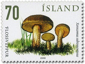 Colnect-1096-781-Mushrooms-V.jpg