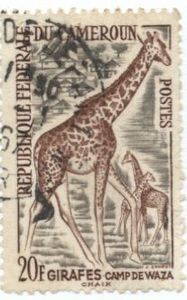 Colnect-1038-214-Giraffes.jpg