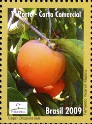 Colnect-411-624-Persimmon.jpg