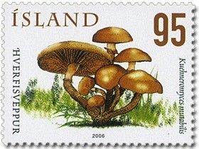 Colnect-1096-782-Mushrooms-V.jpg
