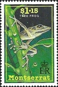 Colnect-5873-032-Tree-frog.jpg