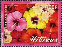 Colnect-596-333-Hibiscus.jpg