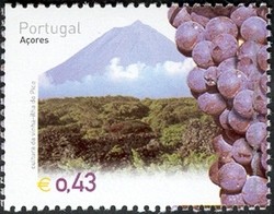 Colnect-521-350-Grapes.jpg
