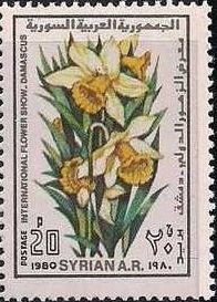 Colnect-2149-642-Daffodils.jpg