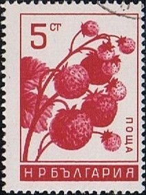 Colnect-1381-224-Strawberries.jpg
