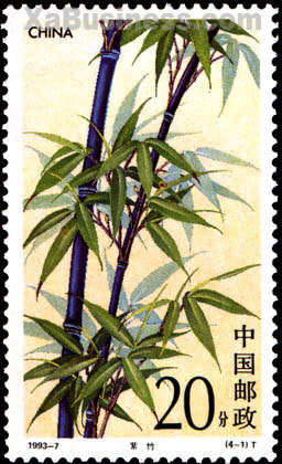 Colnect-1419-844-Black-Bamboo.jpg