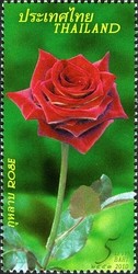 Colnect-1677-944-Flora-Roses.jpg
