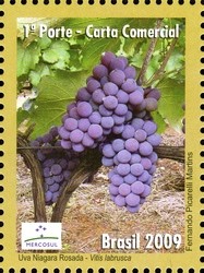 Colnect-411-615-Grapes.jpg