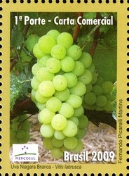 Colnect-411-619-Grapes.jpg