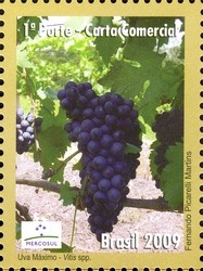 Colnect-411-622-Grapes.jpg