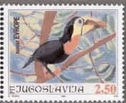 Colnect-875-663-Toucan.jpg