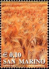 Colnect-1021-466-Barley-field.jpg