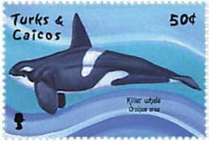 Colnect-4176-586-Orcinus-Orca.jpg