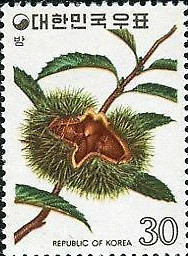 Colnect-2723-771-Chestnuts.jpg