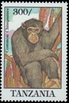 Colnect-4729-573-Chimpanzee.jpg
