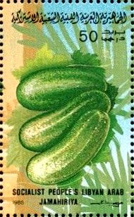 Colnect-4816-274-Cucumbers.jpg