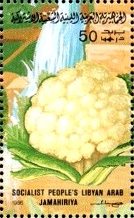 Colnect-4816-277-Cauliflower.jpg