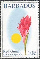 Colnect-1756-281-Red-ginger.jpg