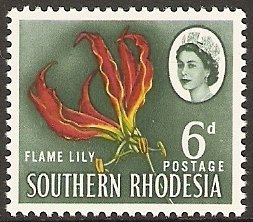 Colnect-1726-482-Flame-lily.jpg