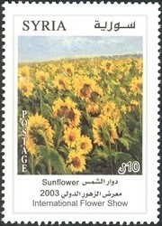Colnect-1428-684-Sunflower.jpg