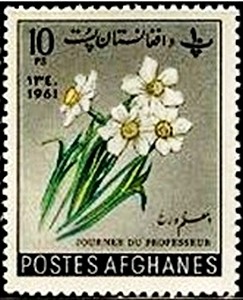 Colnect-2187-392-Narcissus.jpg
