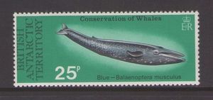 Colnect-1376-093-Blue-Whale.jpg