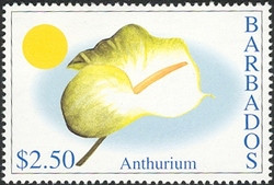Colnect-1756-395-Anthurium.jpg
