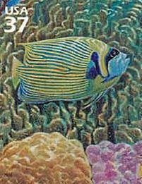 Colnect-202-198-Emperor-Angelfish-Pomacanthus-imperator-Blue-Coral-Mound.jpg