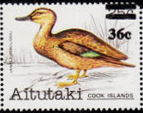 Colnect-3441-411-Pacific-Black-Duck-Anas-superciliosa.jpg