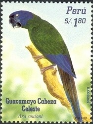 Colnect-1557-439-Blue-headed-Macaw-Ara-couloni-.jpg