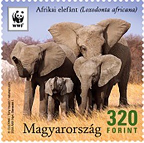 Colnect-5062-210-African-Elephant.jpg